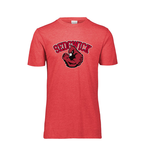 [FTSCUBRD-AS-LOGO2] Decker Men's Tri-Blend T-Shirt - Short Sleeve (Adult S, Red, Logo 2)