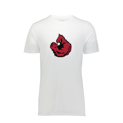 [FTSCUBWH-YS-LOGO1] Decker Youth Tri-Blend T-Shirt - Short Sleeve (Youth S, White, Logo 1)