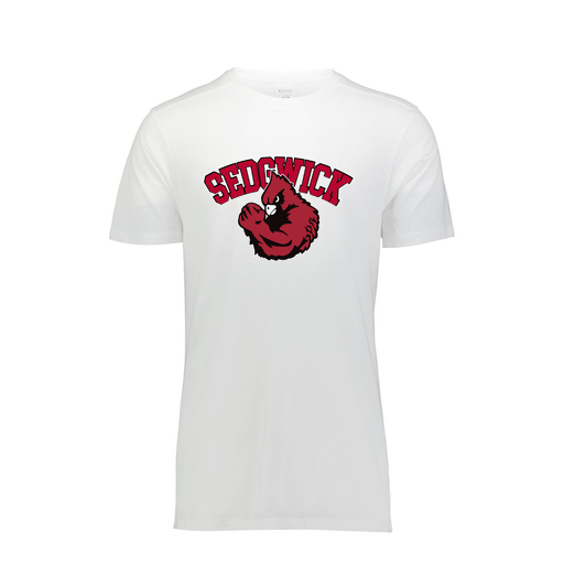 [FTSCUBWH-YS-LOGO2] Decker Youth Tri-Blend T-Shirt - Short Sleeve (Youth S, White, Logo 2)