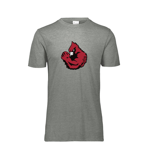 [FTSCUBGY-YS-LOGO1] Decker Youth Tri-Blend T-Shirt - Short Sleeve (Youth S, Gray, Logo 1)