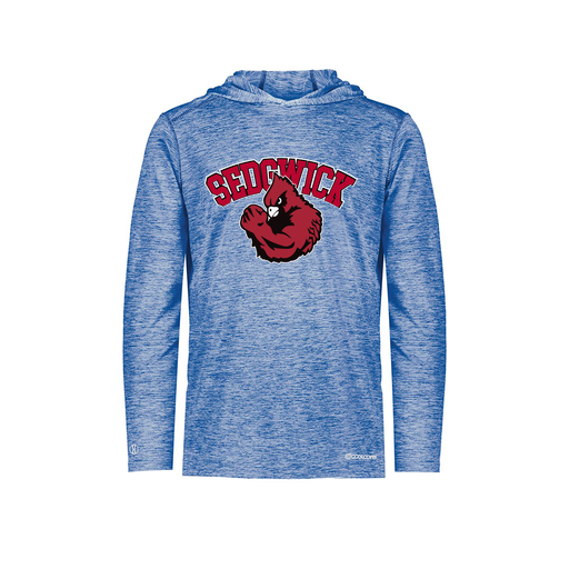 [FOLHCGRY-AS-LOGO2] Decker Men's Charge Hoodie (Adult S, Royal, Logo 2)