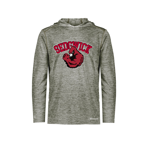 [FOLHCGGY-AS-LOGO2] Decker Men's Charge Hoodie (Adult S, Gray, Logo 2)